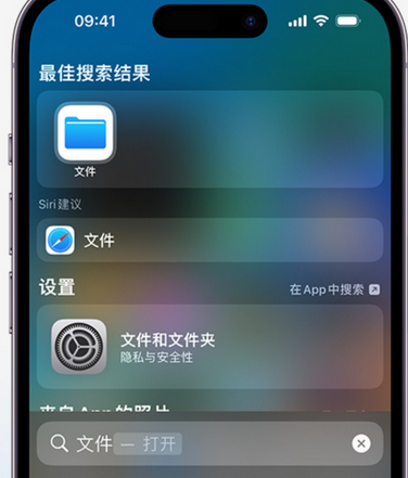 和龙apple维修中心分享iPhone文件应用中存储和找到下载文件