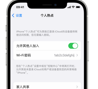 和龙apple服务站点分享iPhone上个人热点丢失了怎么办 