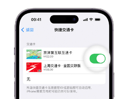 和龙apple维修点分享iPhone上更换Apple Pay快捷交通卡手绘卡面 