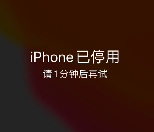 和龙苹果手机维修分享:iPhone 显示“不可用”或“已停用”怎么办？还能保留数据吗？ 