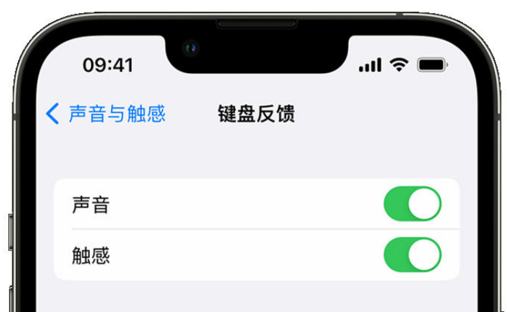 和龙苹果手机维修分享iPhone 14触感键盘使用方法 