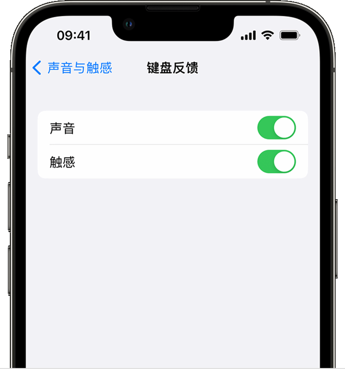 和龙苹果14维修店分享如何在 iPhone 14 机型中使用触感键盘 