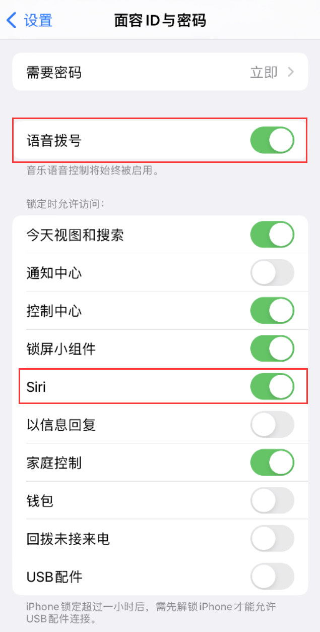 和龙苹果维修网点分享不解锁 iPhone 的情况下通过 Siri 拨打电话的方法 