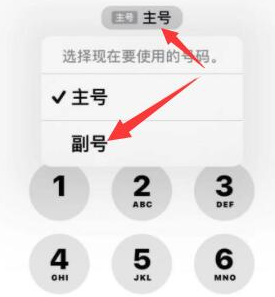 和龙苹果14维修店分享iPhone 14 Pro Max使用副卡打电话的方法 