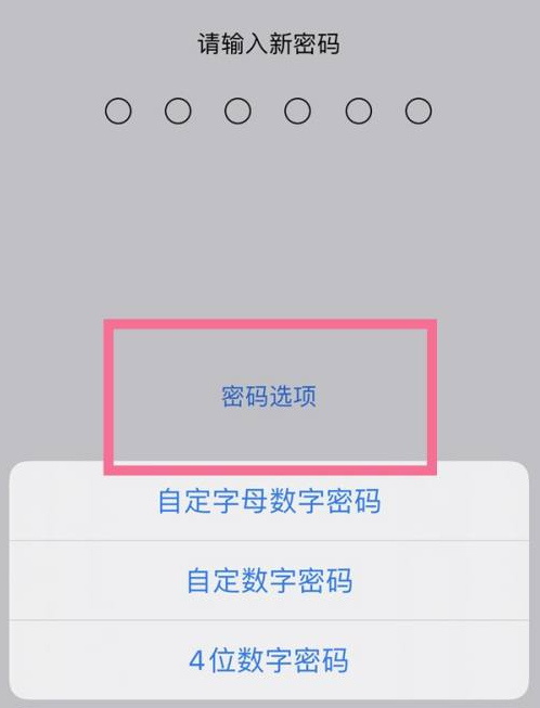 和龙苹果14维修分享iPhone 14plus设置密码的方法 