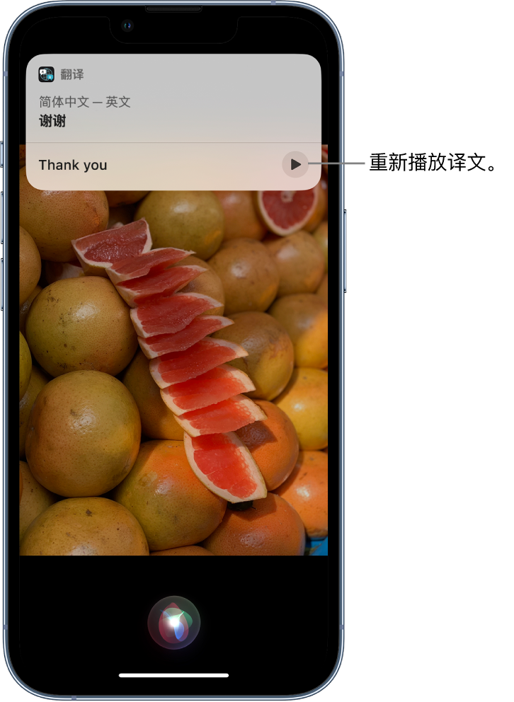 和龙苹果14维修分享 iPhone 14 机型中使用 Siri：了解 Siri 能帮你做什么 