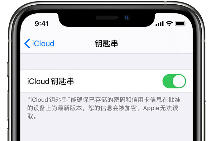 和龙苹果手机维修分享在 iPhone 上开启 iCloud 钥匙串之后会储存哪些信息 