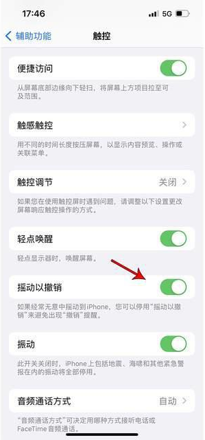 和龙苹果手机维修分享iPhone手机如何设置摇一摇删除文字 