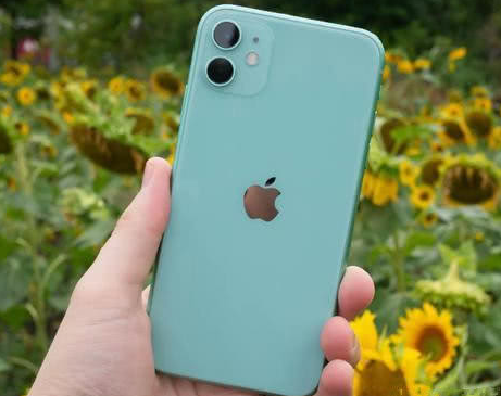和龙苹果维修点分享iPhone 11锁屏密码认知与使用科普 